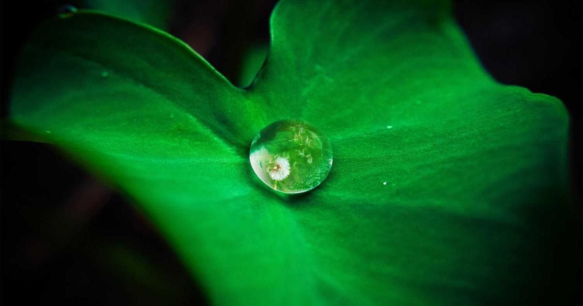 Tokenomics That Work: Supply Schedules and Utility